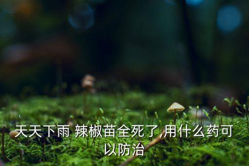 辣椒苗萎縮用什么農藥,辣椒的防治打什么農藥