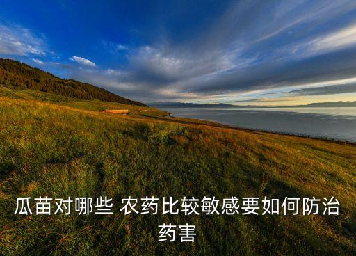 瓜苗對哪些 農(nóng)藥比較敏感要如何防治藥害