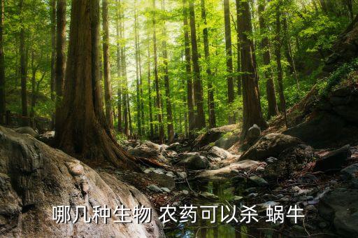 蝸牛用什么農藥可治病呢,什么農藥殺蝸牛效果好