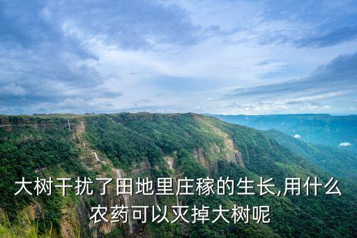 ,什么農藥對禾苗有影響大