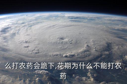 為什么打農藥會跪下,花期為什么不能打農藥