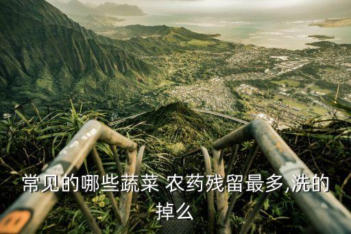 常見的哪些蔬菜 農藥殘留最多,洗的掉么