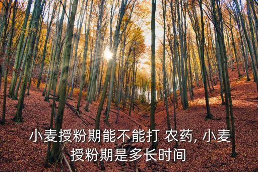  小麥?zhǔn)诜燮谀懿荒艽?農(nóng)藥, 小麥?zhǔn)诜燮谑嵌嚅L(zhǎng)時(shí)間