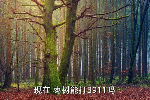 現在棗樹打什么農藥,棗樹用什么農藥最佳