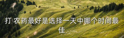 下午打什么農(nóng)藥好,西瓜一般打什么農(nóng)藥