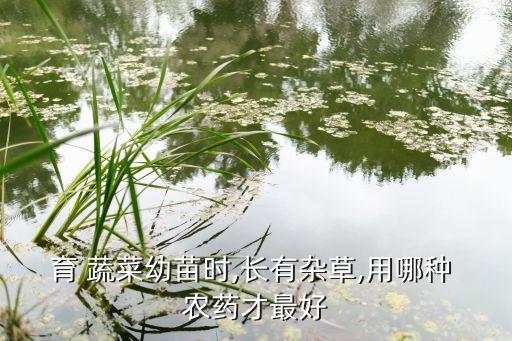 春天蔬菜打什么農藥最好,春天小麥打什么農藥