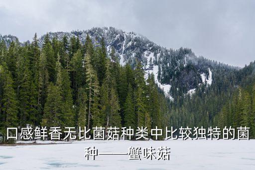 海鮮菇用的什么農(nóng)藥,菇蚊用什么農(nóng)藥打好