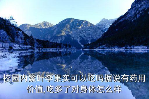 學校用的農藥叫什么,有種農藥叫什么丹