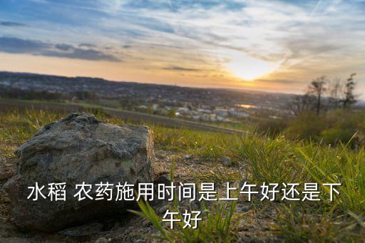  水稻 農(nóng)藥施用時間是上午好還是下午好