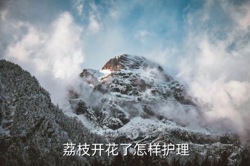 噴什么農藥荔枝花蕊會脫落,噴荔枝用什么農藥