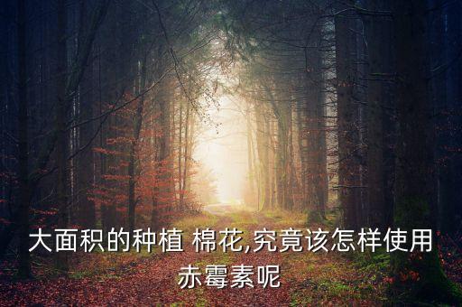 大面積的種植 棉花,究竟該怎樣使用赤霉素呢