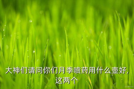 大神們請問你們月季噴藥用什么壺好,這兩個