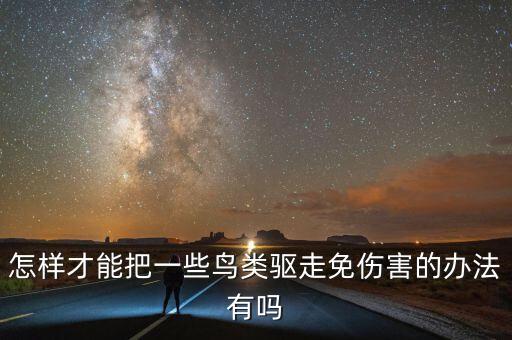 怎樣才能把一些鳥類驅走免傷害的辦法有嗎