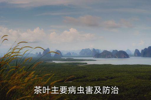 打茶葉蟲什么農(nóng)藥最好,茶葉蟲用什么農(nóng)藥治