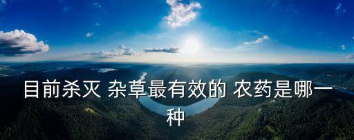 去除雜草什么農藥最好使,頑固雜草用什么農藥