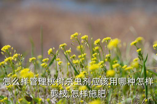 桃子樹冬天用什么農藥,桃子管理打什么農藥