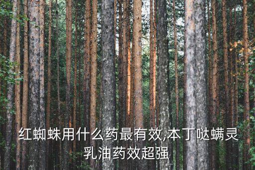 用什么農藥打紅蜘蛛最好,目前殺紅蜘蛛最好的農藥
