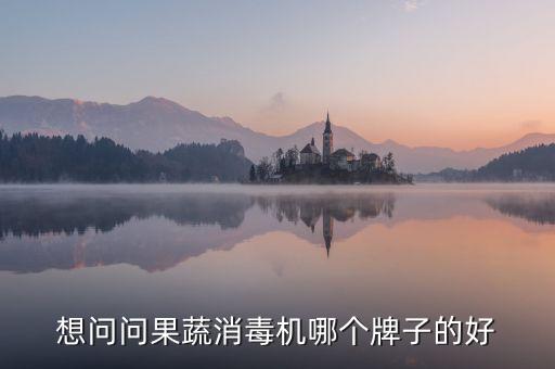 想問問果蔬消毒機哪個牌子的好
