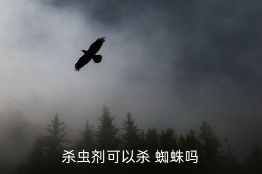 殺蟲劑可以殺 蜘蛛嗎