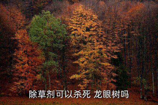 ,龍眼樹嫩葉用什么農藥