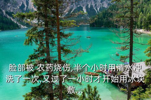 農(nóng)藥燒臉用什么辦法,百合葉燒用什么農(nóng)藥
