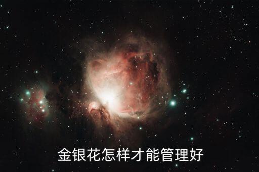  金銀花怎樣才能管理好