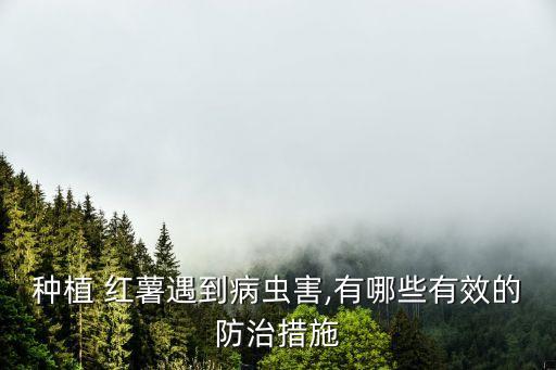種植 紅薯遇到病蟲害,有哪些有效的防治措施