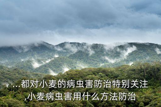 ...都對小麥的病蟲害防治特別關注,小麥病蟲害用什么方法防治