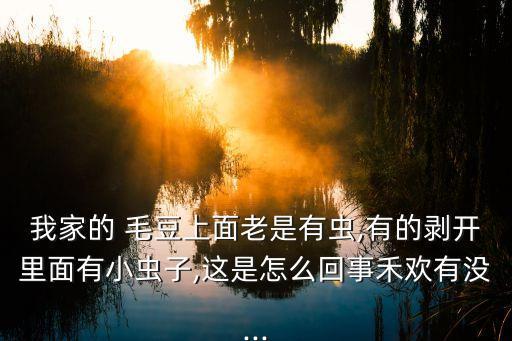 毛豆用什么農藥好殺,毛豆打什么農藥