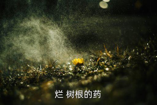 什么農(nóng)藥可以殺死樹(shù)根,用什么農(nóng)藥殺死大樹(shù)樹(shù)根最好