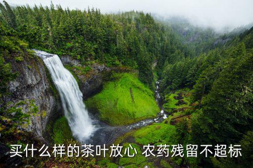 什么樣的茶不打農藥好