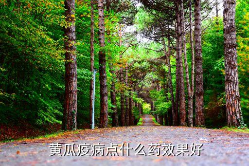 黃瓜打什么農藥治病毒的,黃瓜灌根用什么農藥?