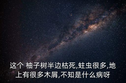 柚子樹(shù)除蟲(chóng)用什么農(nóng)藥,除蟲(chóng)農(nóng)藥什么時(shí)間施好?