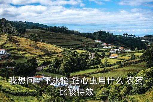 鉆心蟲 用什么農(nóng)藥,甘蔗鉆心蟲用什么農(nóng)藥比較特效