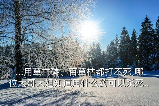 ...用草甘磷、百草枯都打不死,哪位大哥大姐知道用什么藥可以殺死...