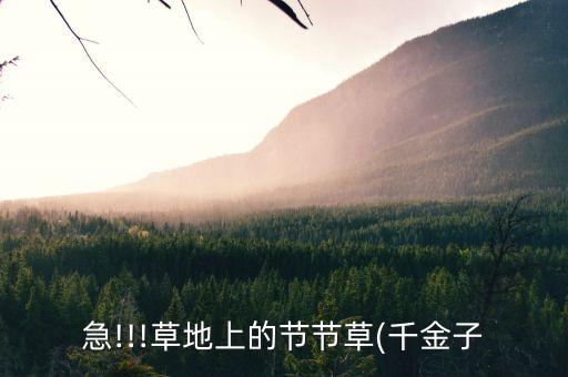 什么農(nóng)藥不傷草坪樹枝的根