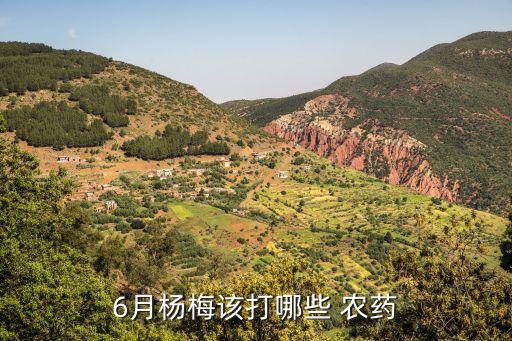 今年秋季打什么農藥了,秋季清園用什么農藥