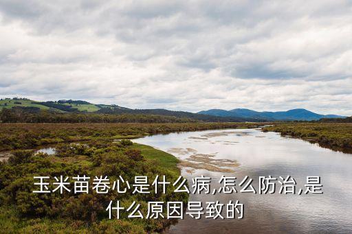 玉米卷心蟲打什么農(nóng)藥好