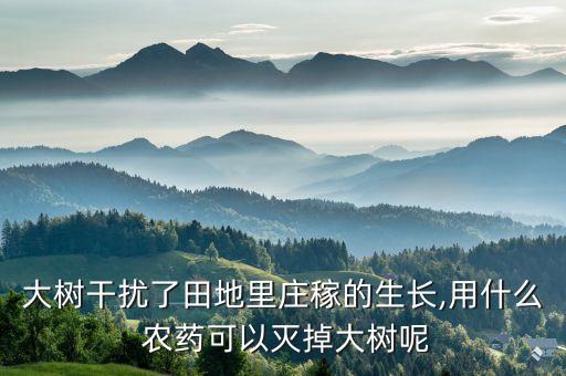 樹上用什么農(nóng)藥無氣味,什么農(nóng)藥沒有氣味最厲害