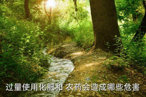 過量使用化肥和 農藥會造成哪些危害