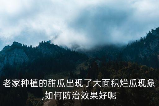 德國什么農藥治瓜爛,瓜絹螟用什么農藥最好