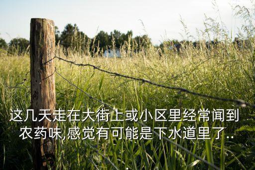這幾天走在大街上或小區里經常聞到 農藥味,感覺有可能是下水道里了...