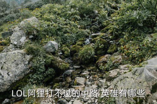 農藥什么英雄克狐貍