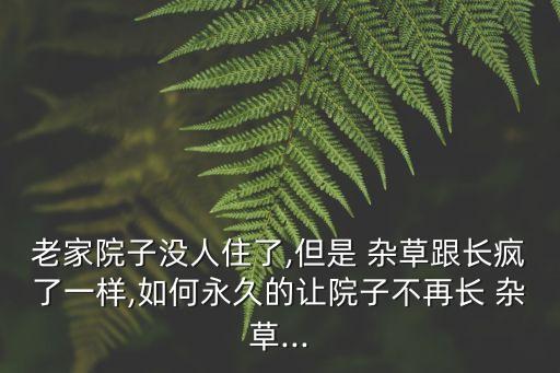 老家院子沒人住了,但是 雜草跟長瘋了一樣,如何永久的讓院子不再長 雜草...