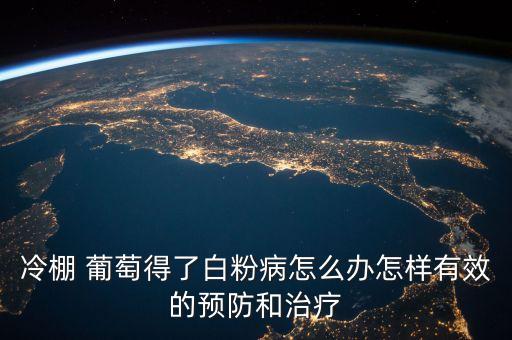 葡萄長(zhǎng)白斑打什么農(nóng)藥