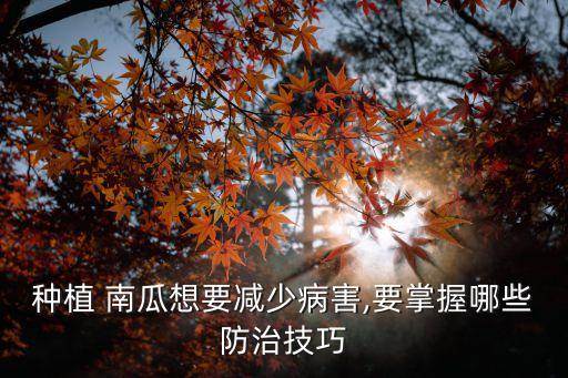 南瓜打什么農藥高產,南瓜會不會打農藥