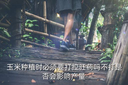  玉米種植時必須要打控旺藥嗎不打是否會影響產量