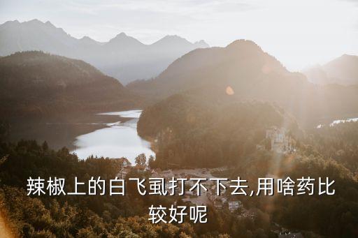  辣椒上的白飛虱打不下去,用啥藥比較好呢
