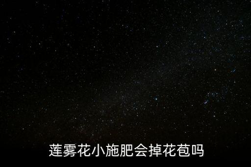  蓮霧花小施肥會掉花苞嗎