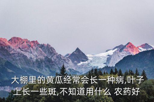大棚施什么農藥,大棚陰天能不能噴農藥